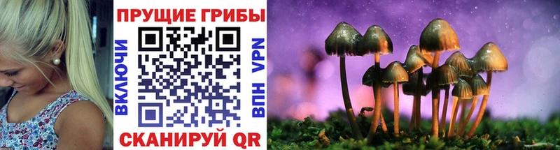 наркотики Печора даркнет наркотические препараты Псилоцибиновые грибы ЛСД