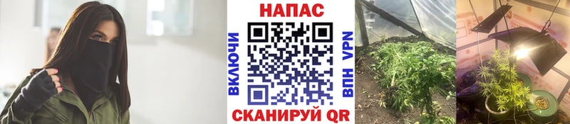 закладки  Печора  Шишки марихуана индика 